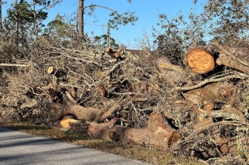 Brush & Debris Cleanup service image